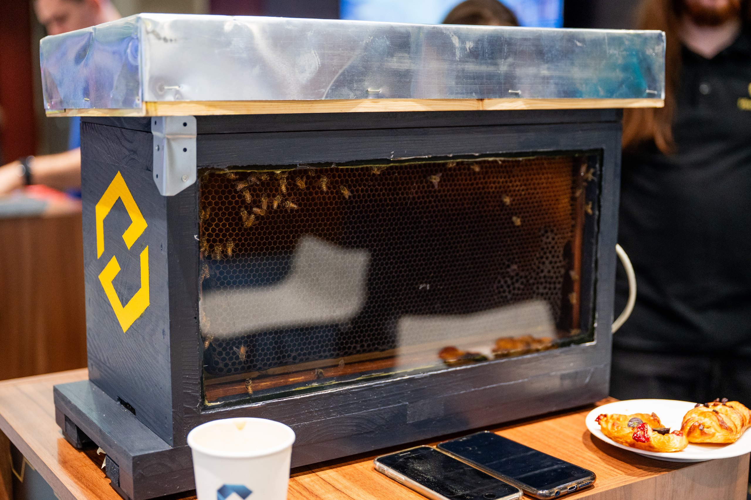 A HiveBits sensor node fitted to a beehive